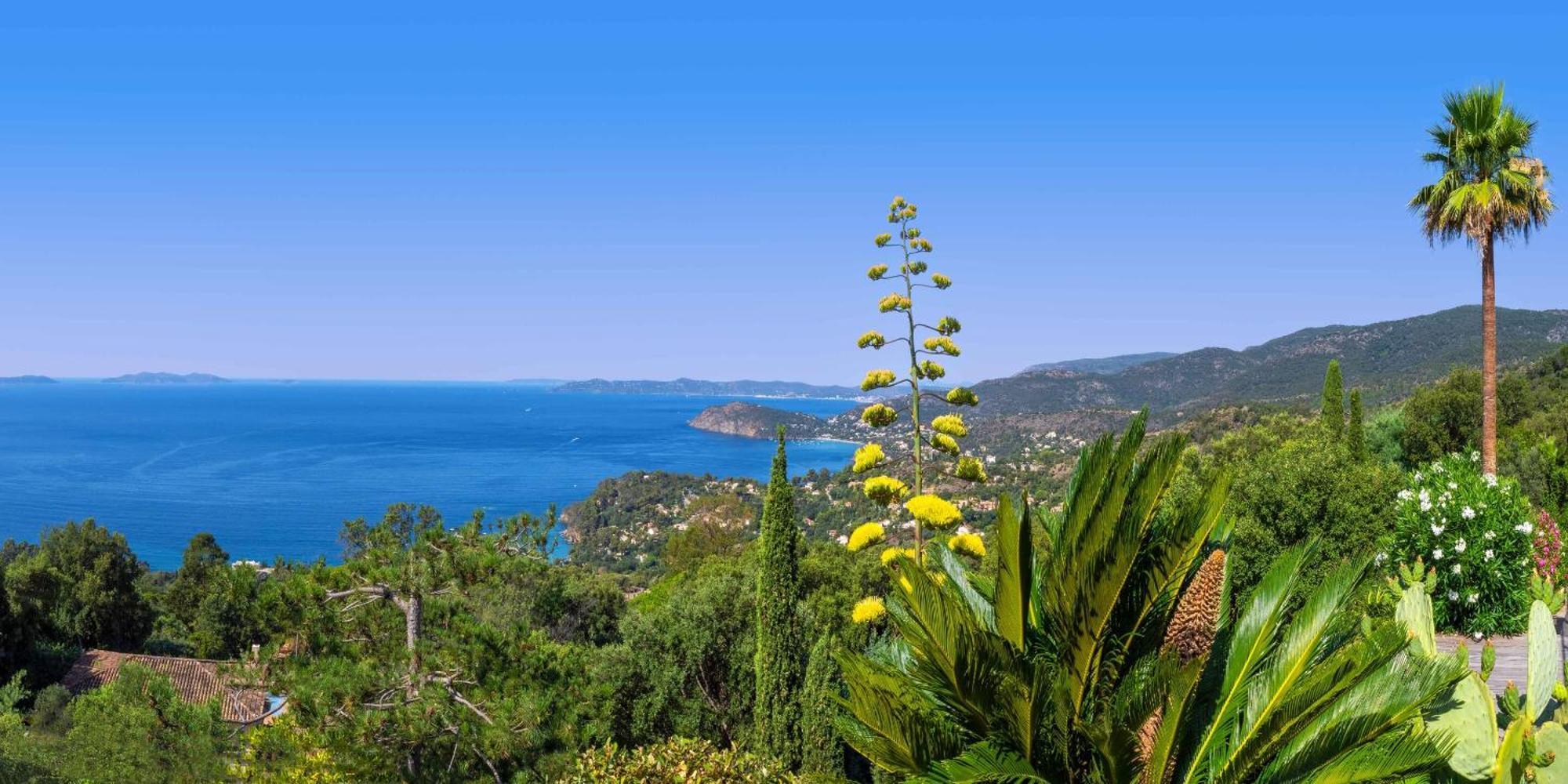 Vistazur Luxueux Appartement Avec Terrasse Et Piscine Rayol-Canadel-sur-Mer Exterior photo